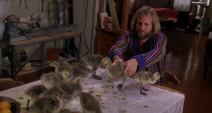 Летите домой