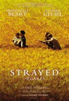 Заблудившиеся